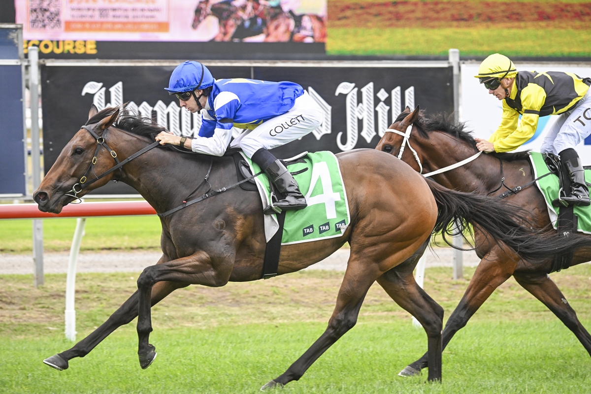 Meridiana impresses at Newcastle
