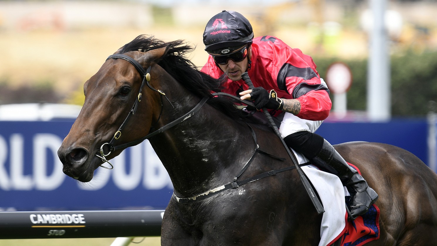 Derby favourite follows proven path