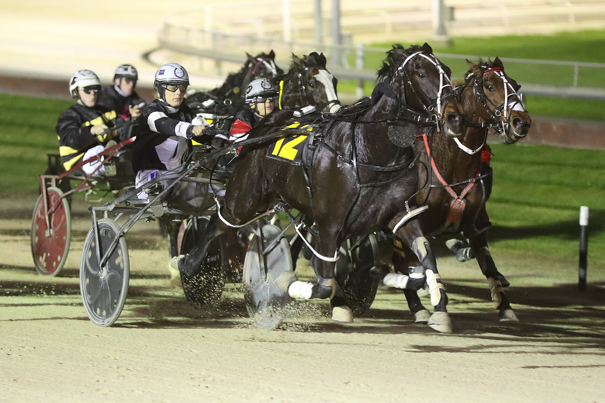 Overport Lodge heads to Blenheim with confidence levels high