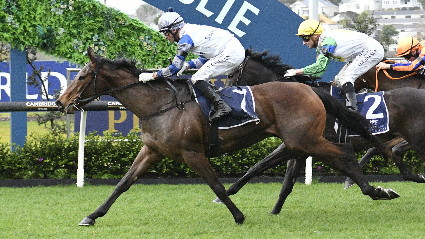 Richardson and Norvall double-handed in Eight Carat Classic