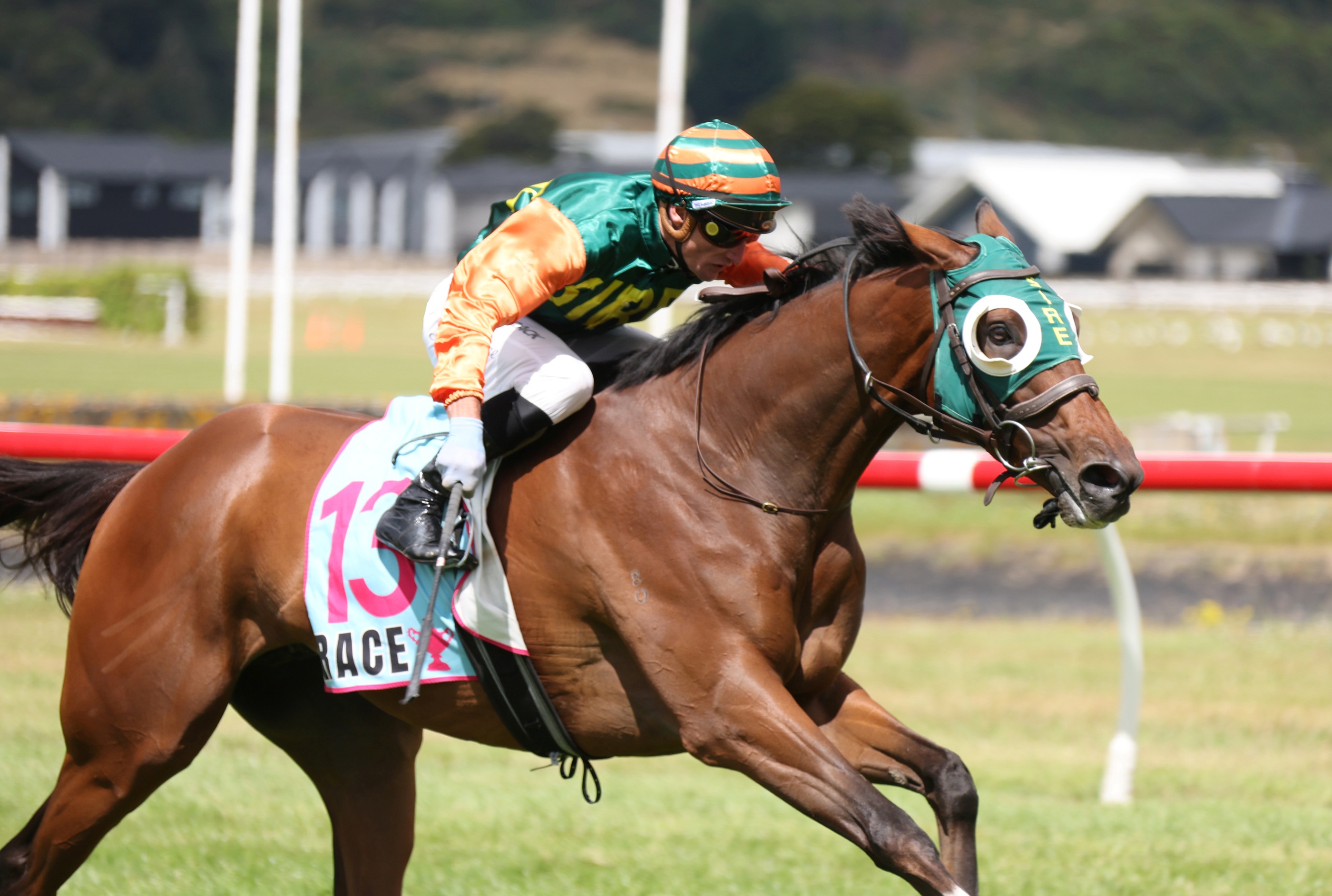 Memorable Trentham double for Pitmans