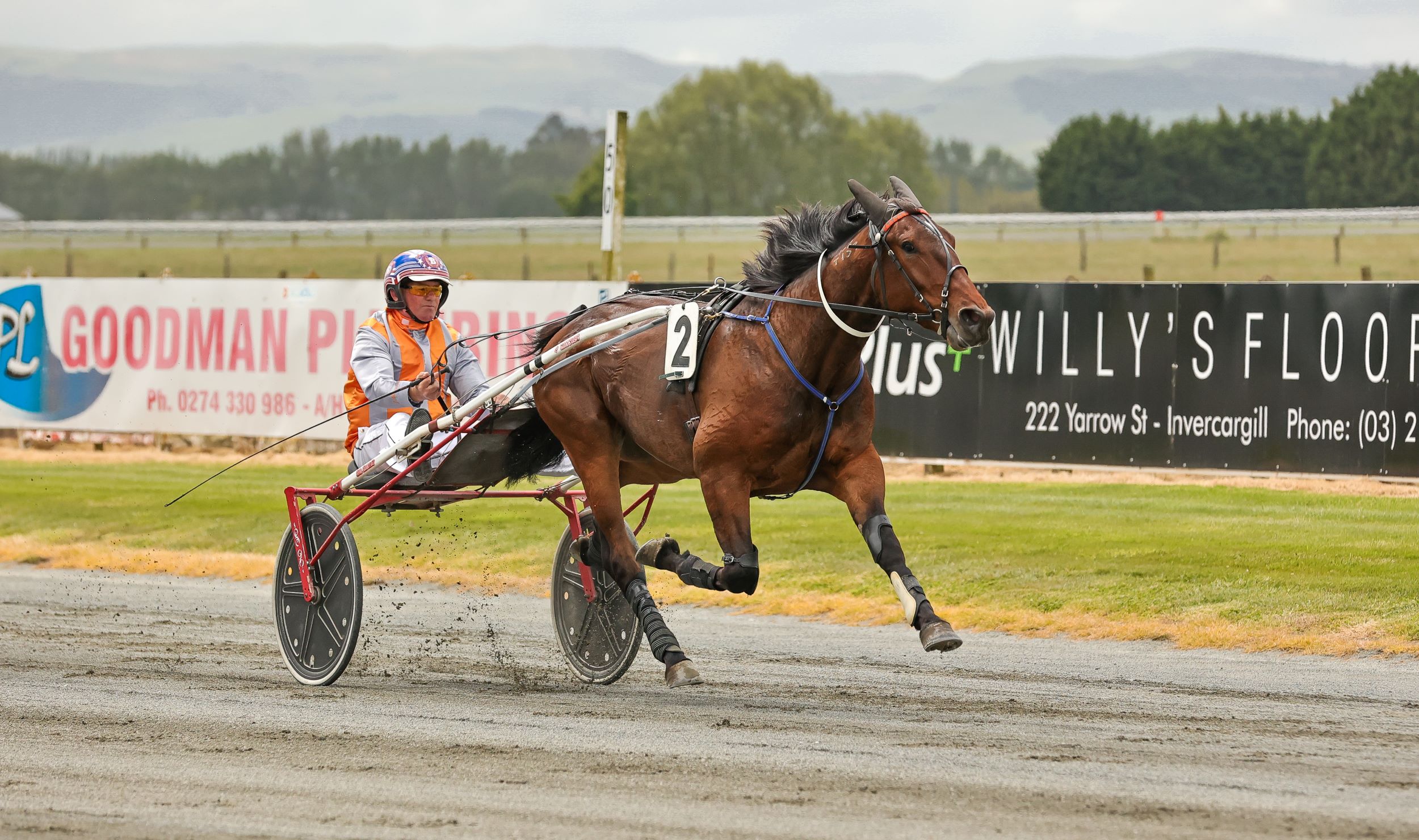 Winton Harness Racing Preview - August 29th 2024