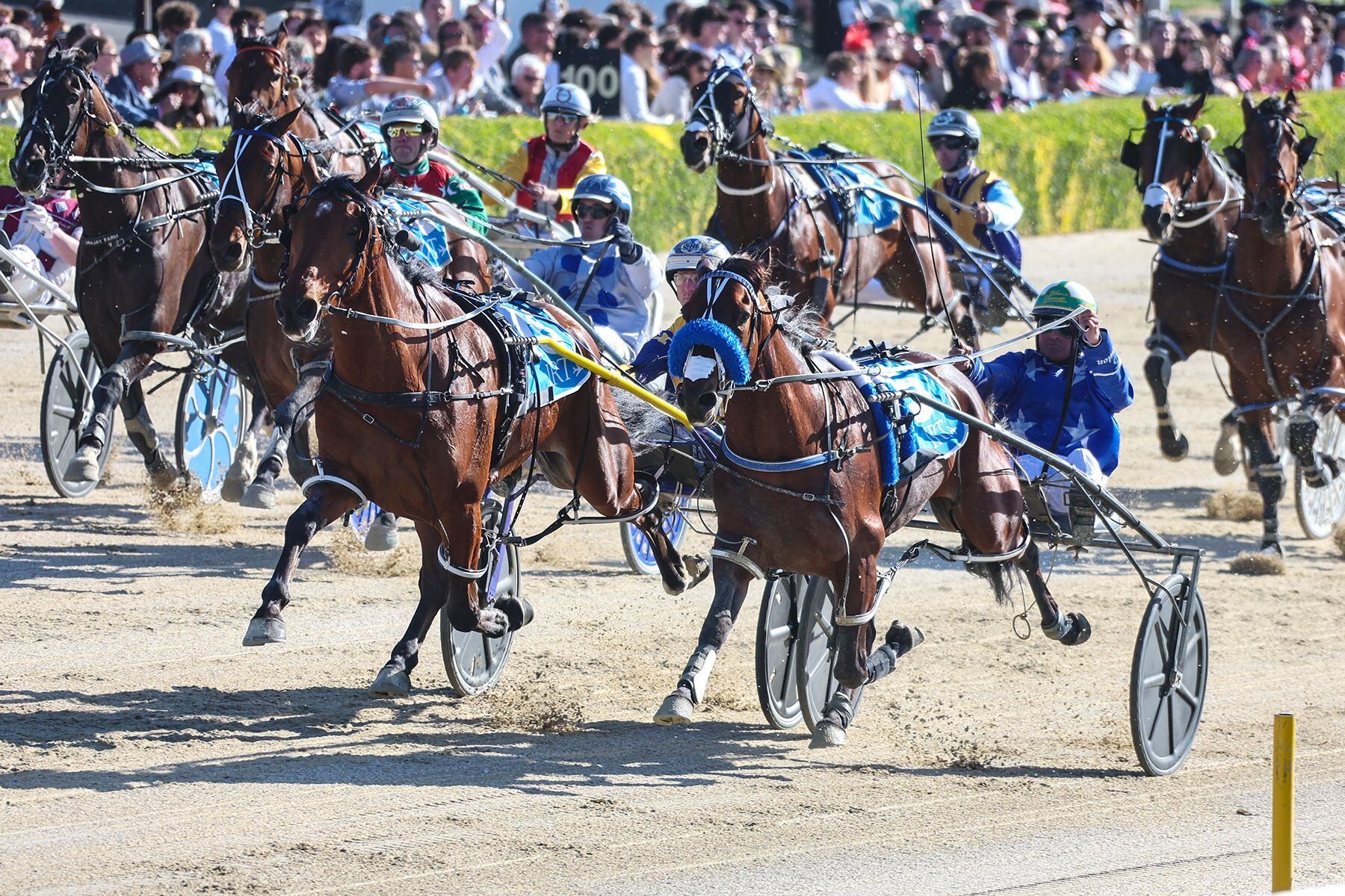 Don't Stops Dreaming's Cup run starts at Oamaru on Sunday