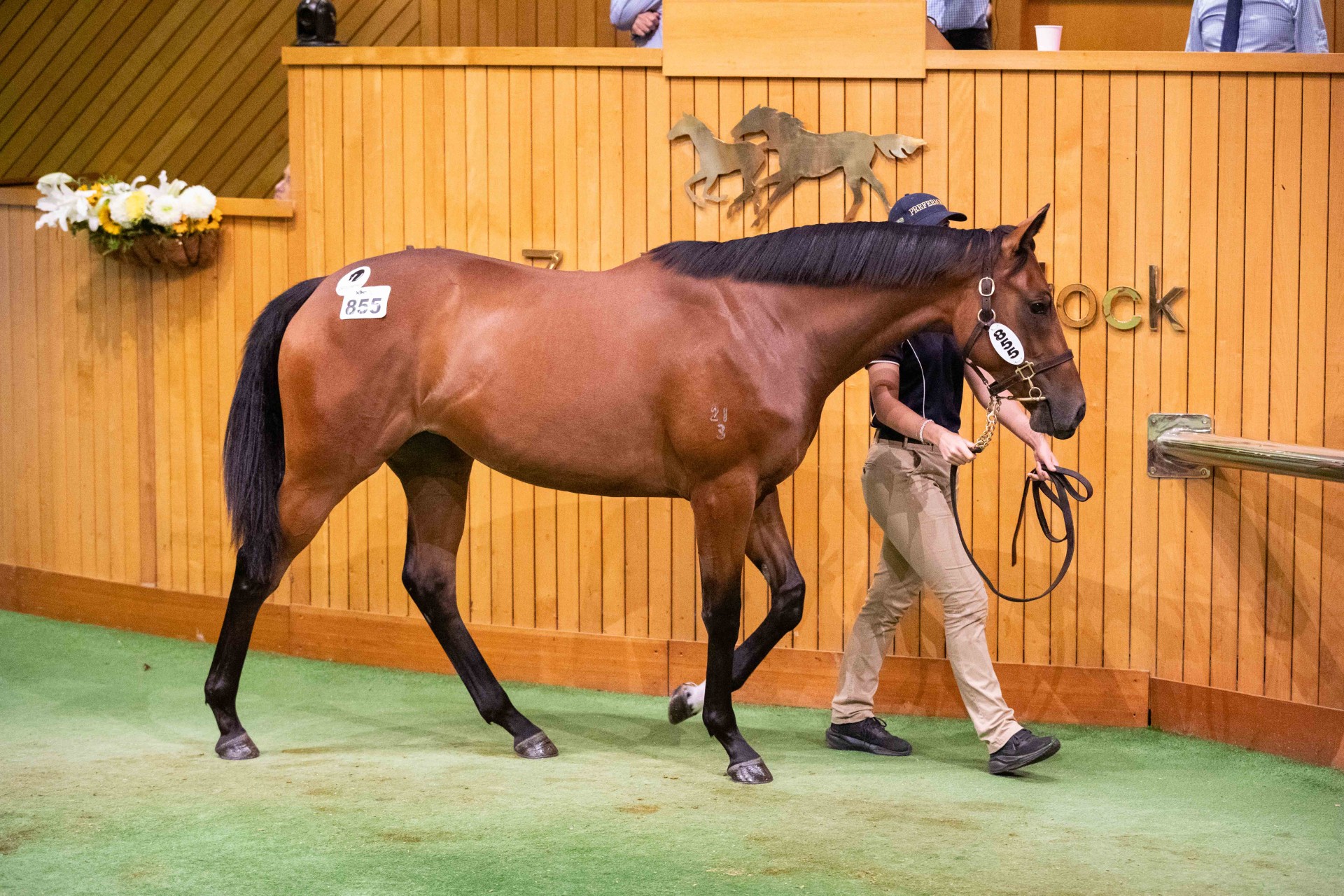 Clearance rate a key positive in challenging Karaka 2025