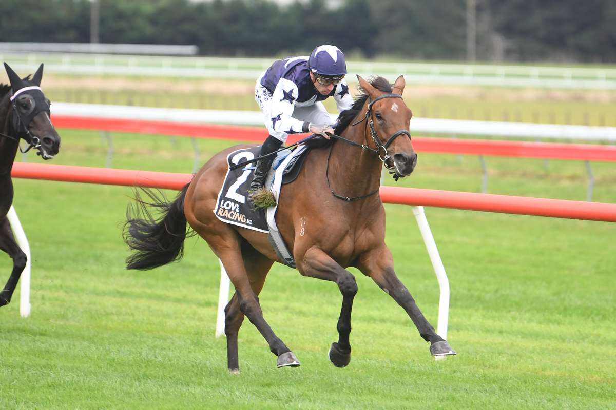 Wynyard hoping the stars align on Matariki