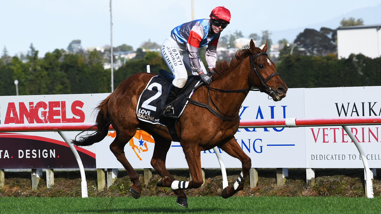 Star hurdler to resume at Ōtaki