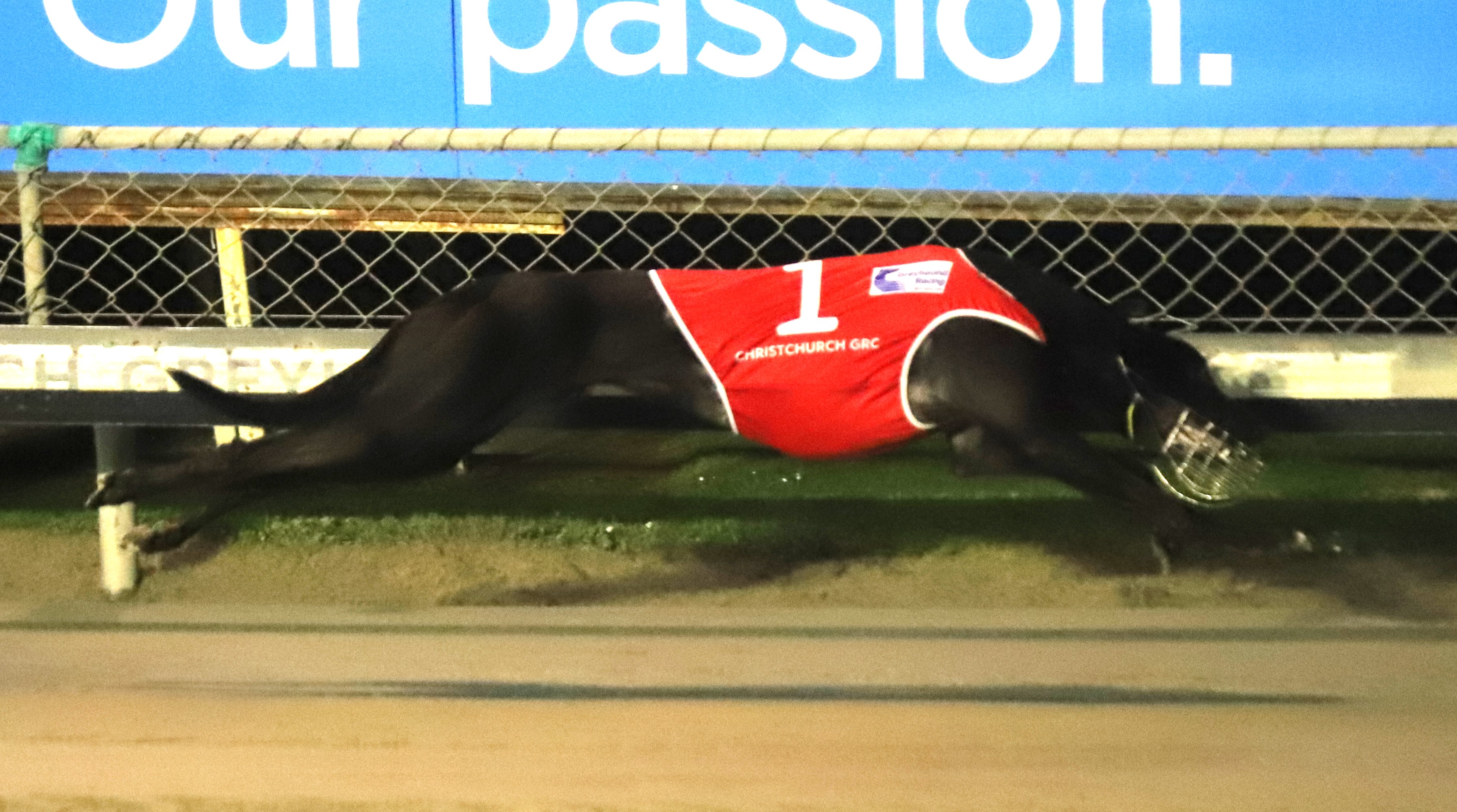 Group 2 racing in Invercargill & stunning Phoenix victory