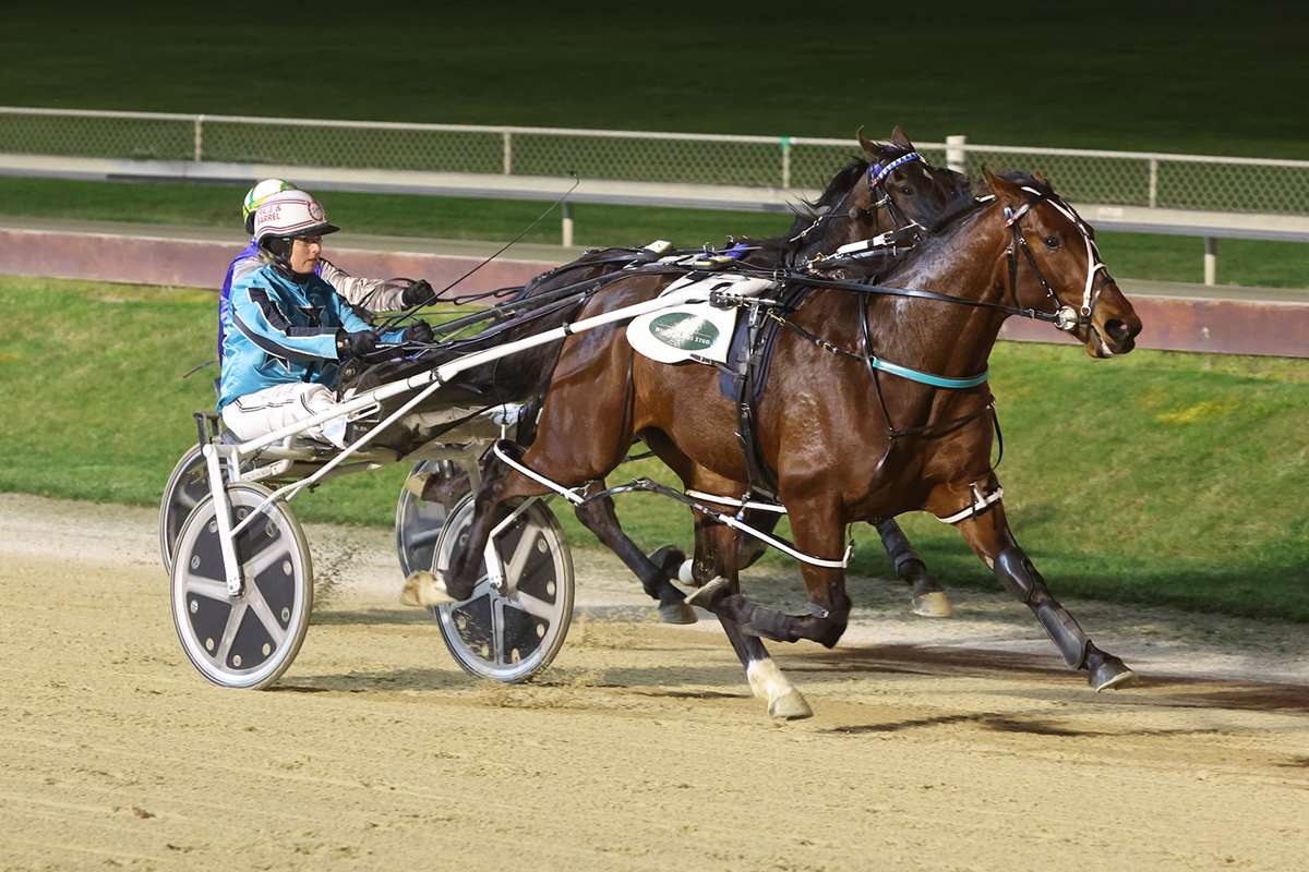Tricky draws for two star pacers at Addington this Friday