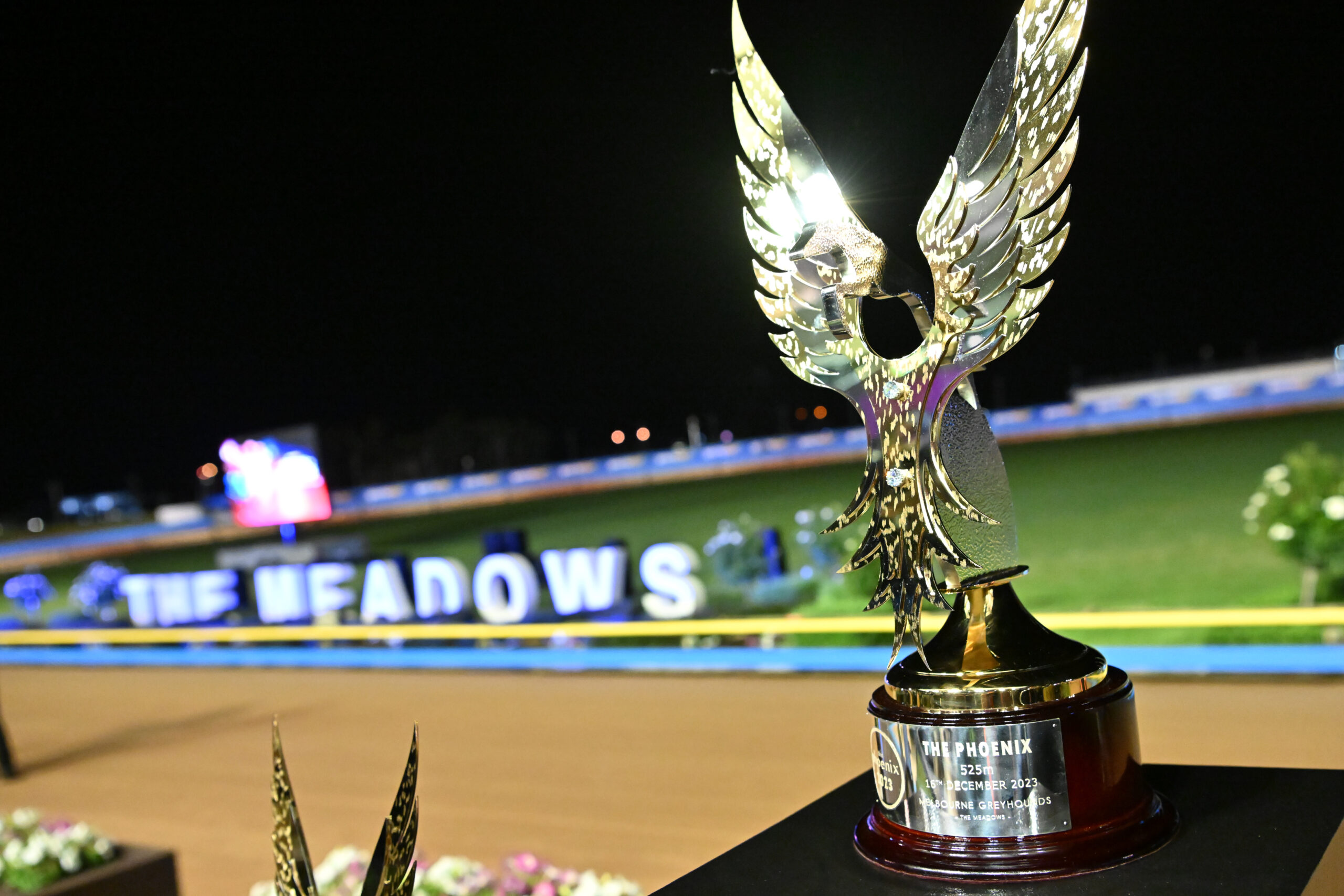 Huge weekend of chasing action