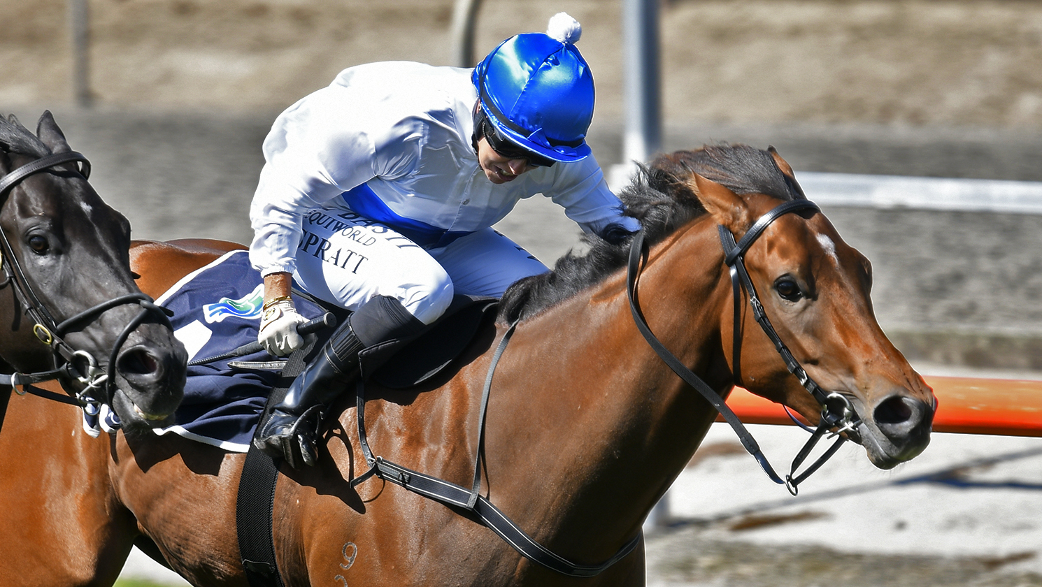 The Oaks Stud fillies thriving ahead of Group Three test