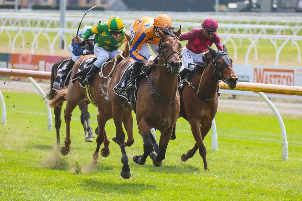 Stephen Hunt: Recent races at Riccarton and Te Rapa