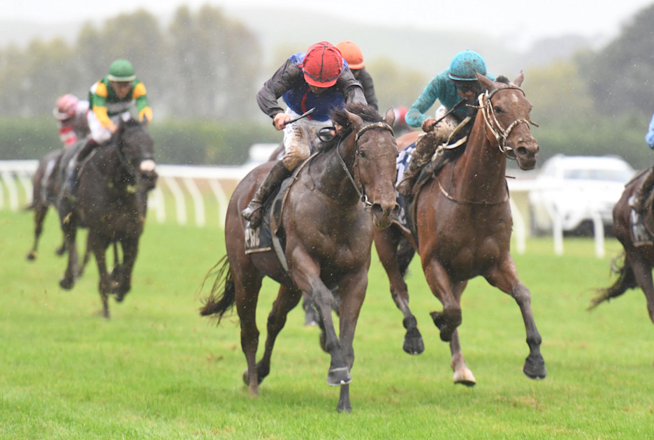 Jo Rathbone Stablemates finding the winning groove with Rathbone