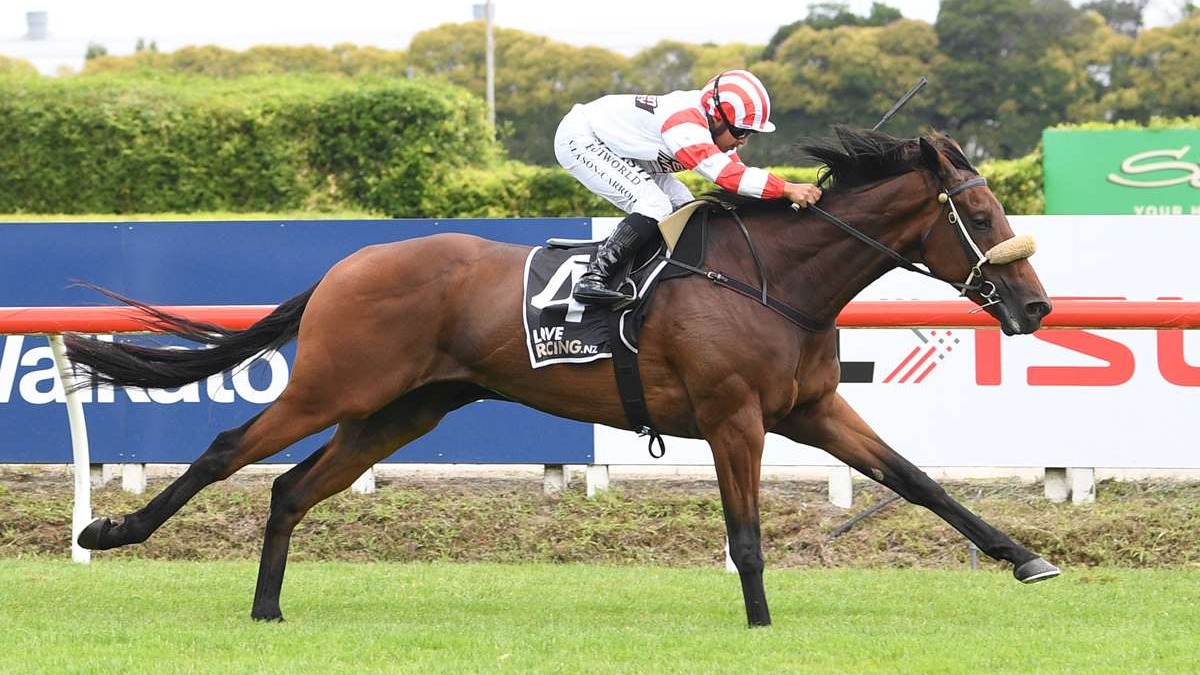 Clotworthy runners seeking to bounce back at Ellerslie