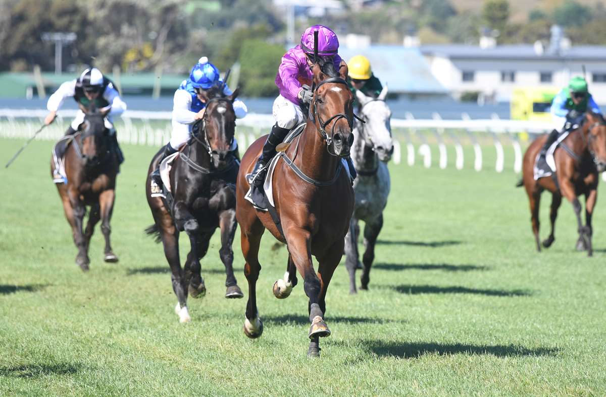 Latta leading local charge at Awapuni