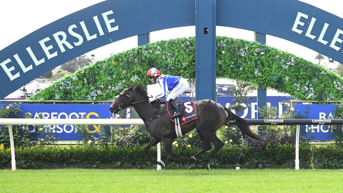 On The Right Track - Running The Numbers on Gr.1 Railway