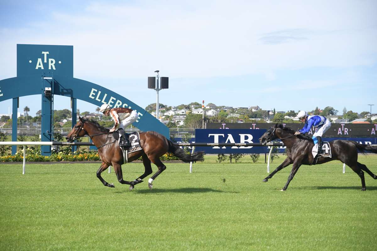 Zabeel Classic the highlight on day of superstars at Ellerslie