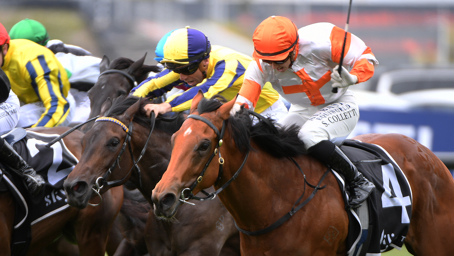 Wexford filly excites on debut