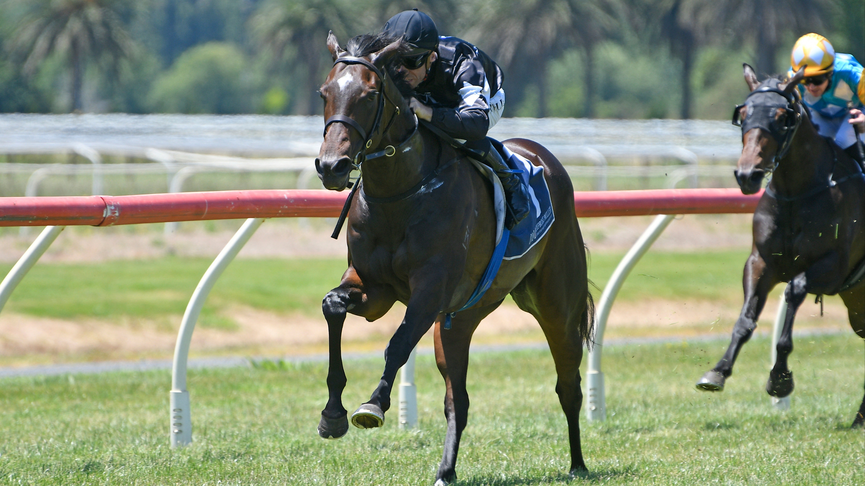 Mapperley set to reap long-term family rewards