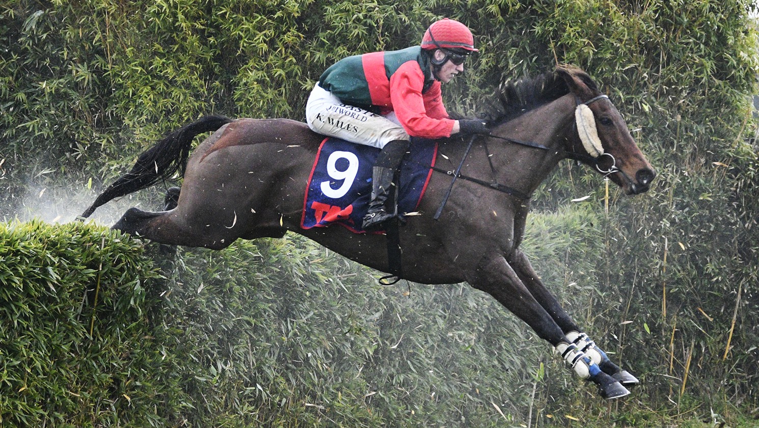 Jakama Krystal takes out the Waikato Hunt Cup
