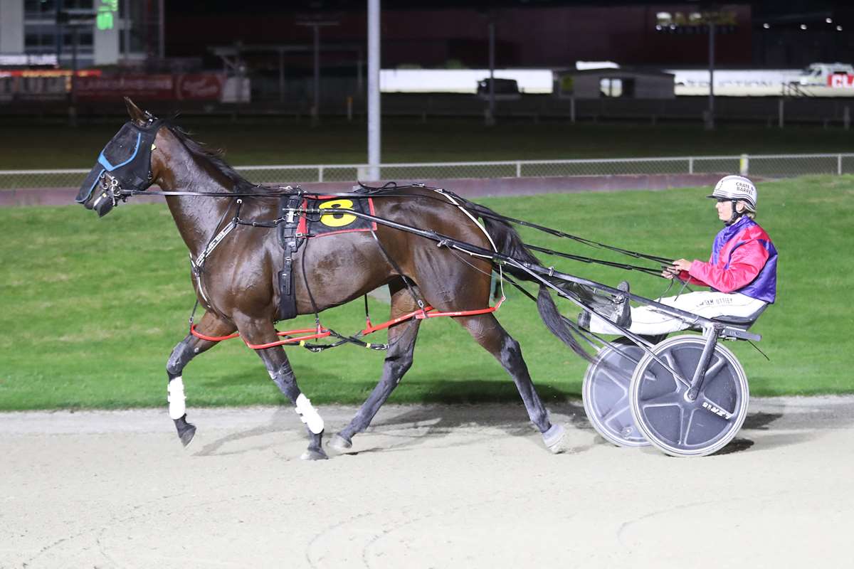 Silk Road Smoothies: Previewing today's Ascot Park Feature