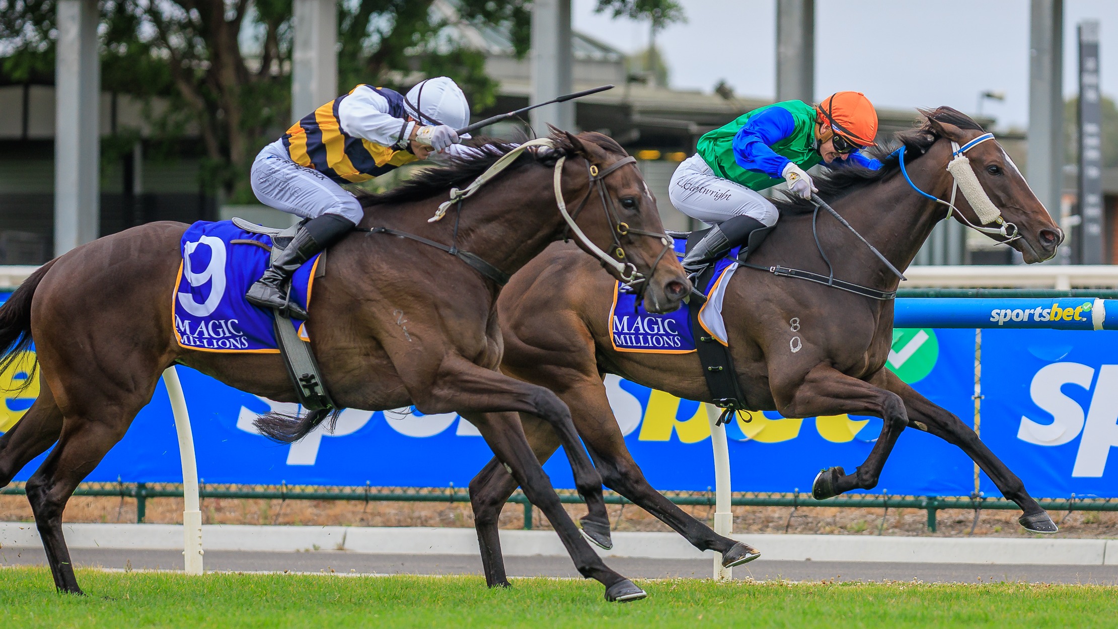 Roadcone delivers Caulfield double for Almanzor