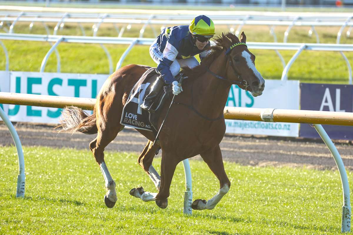 Heavy weekend ahead for Riviera Rebel
