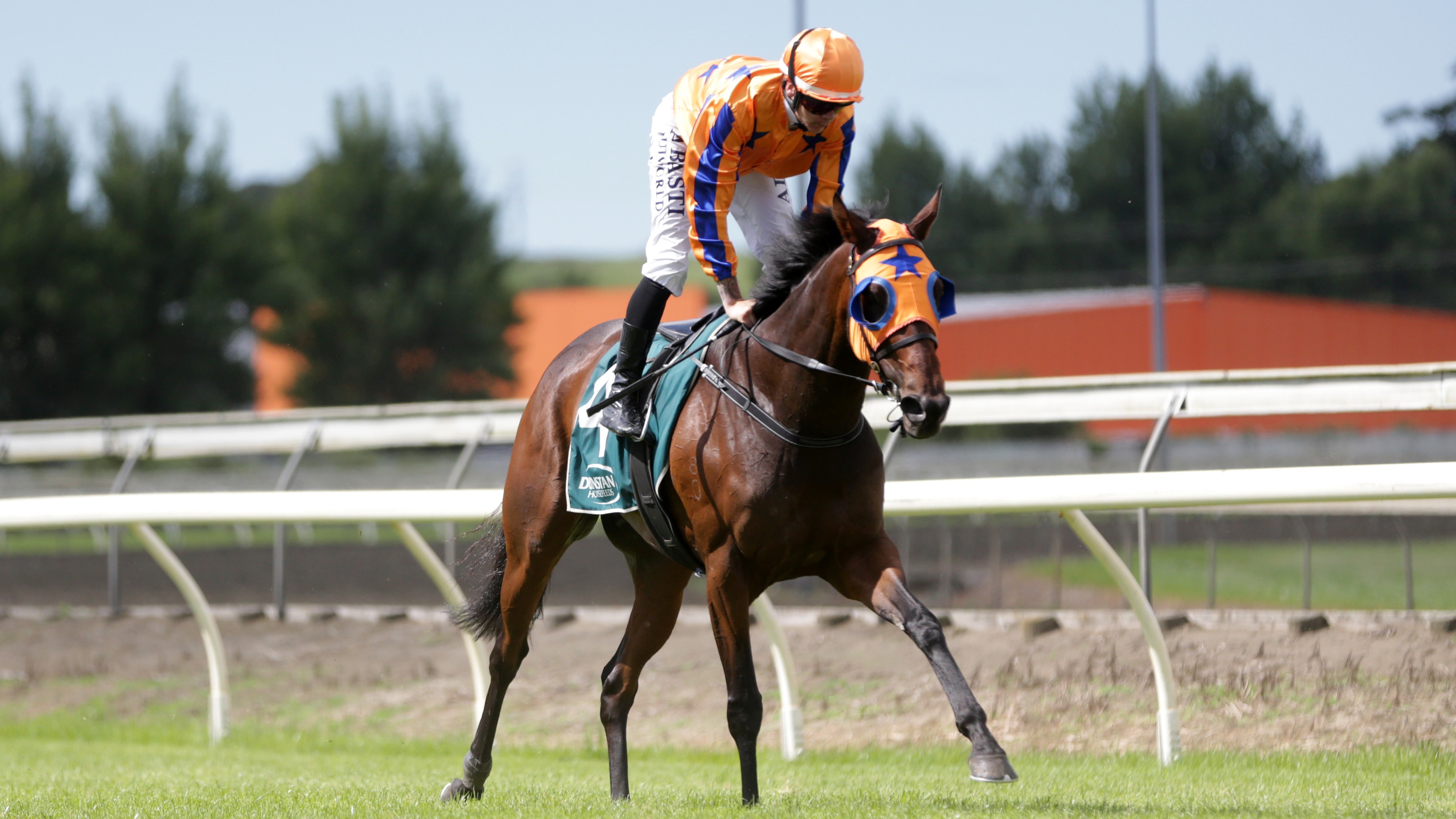 Te Akau hitting top gear ahead of big day at Te Rapa