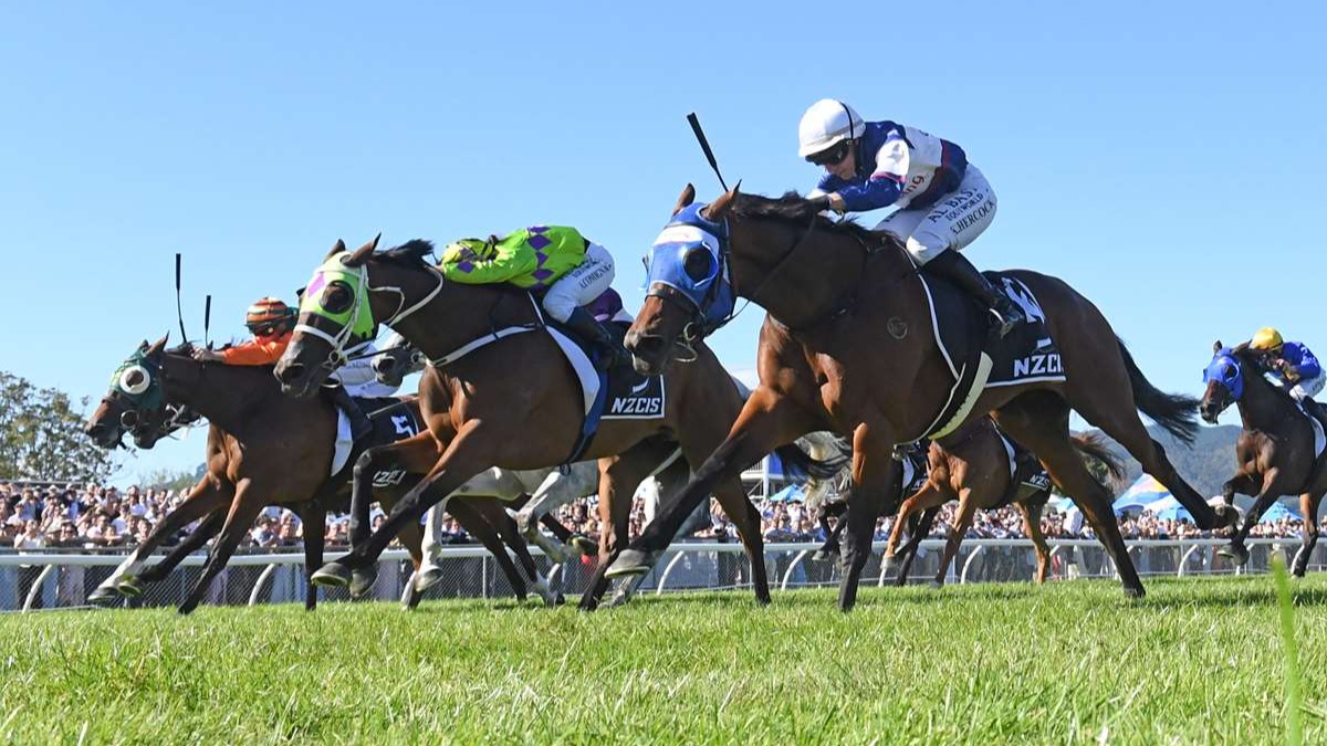 Stephen Hunt runs the Wellington Cup numbers