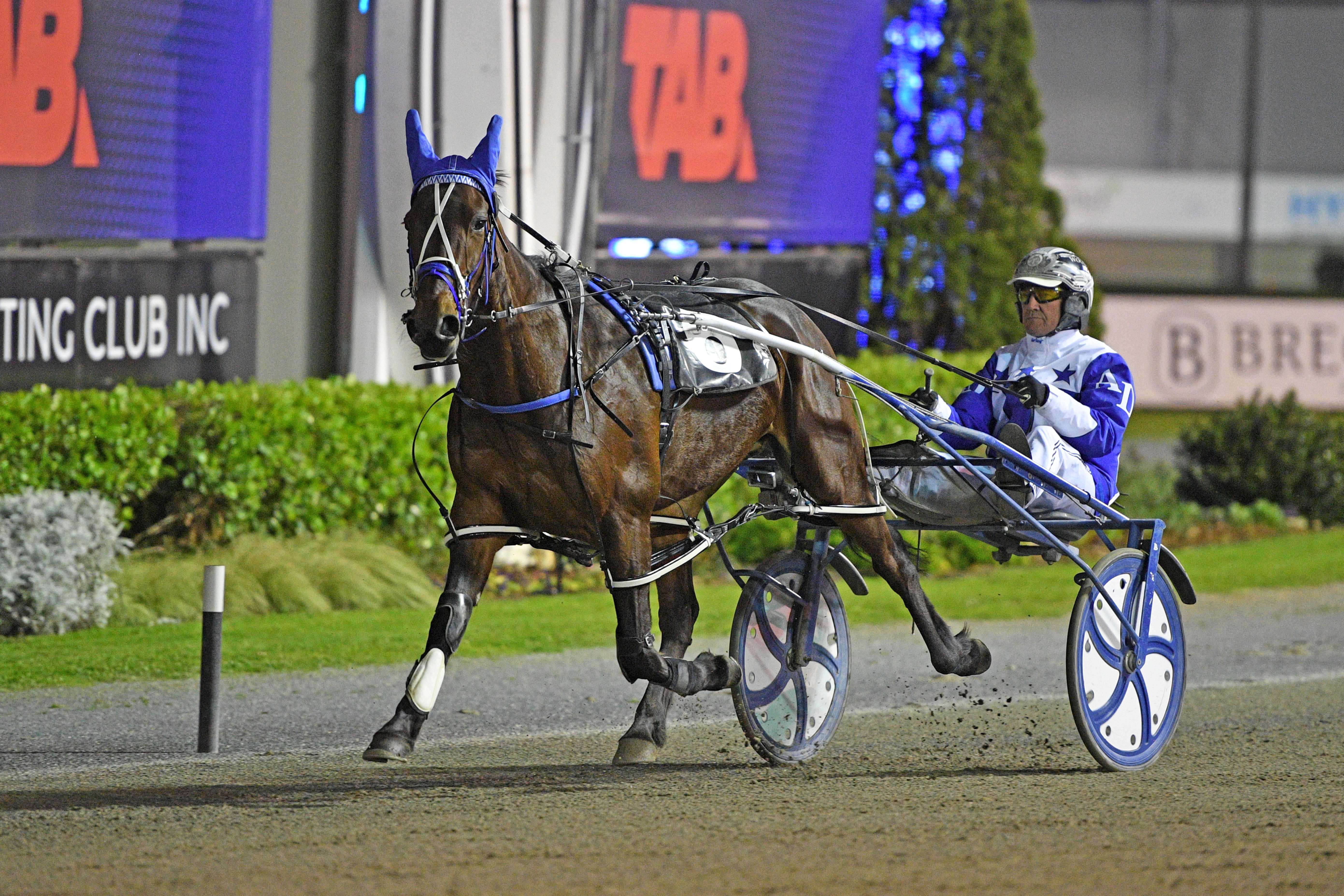 Herlihy magic has helped Final Change