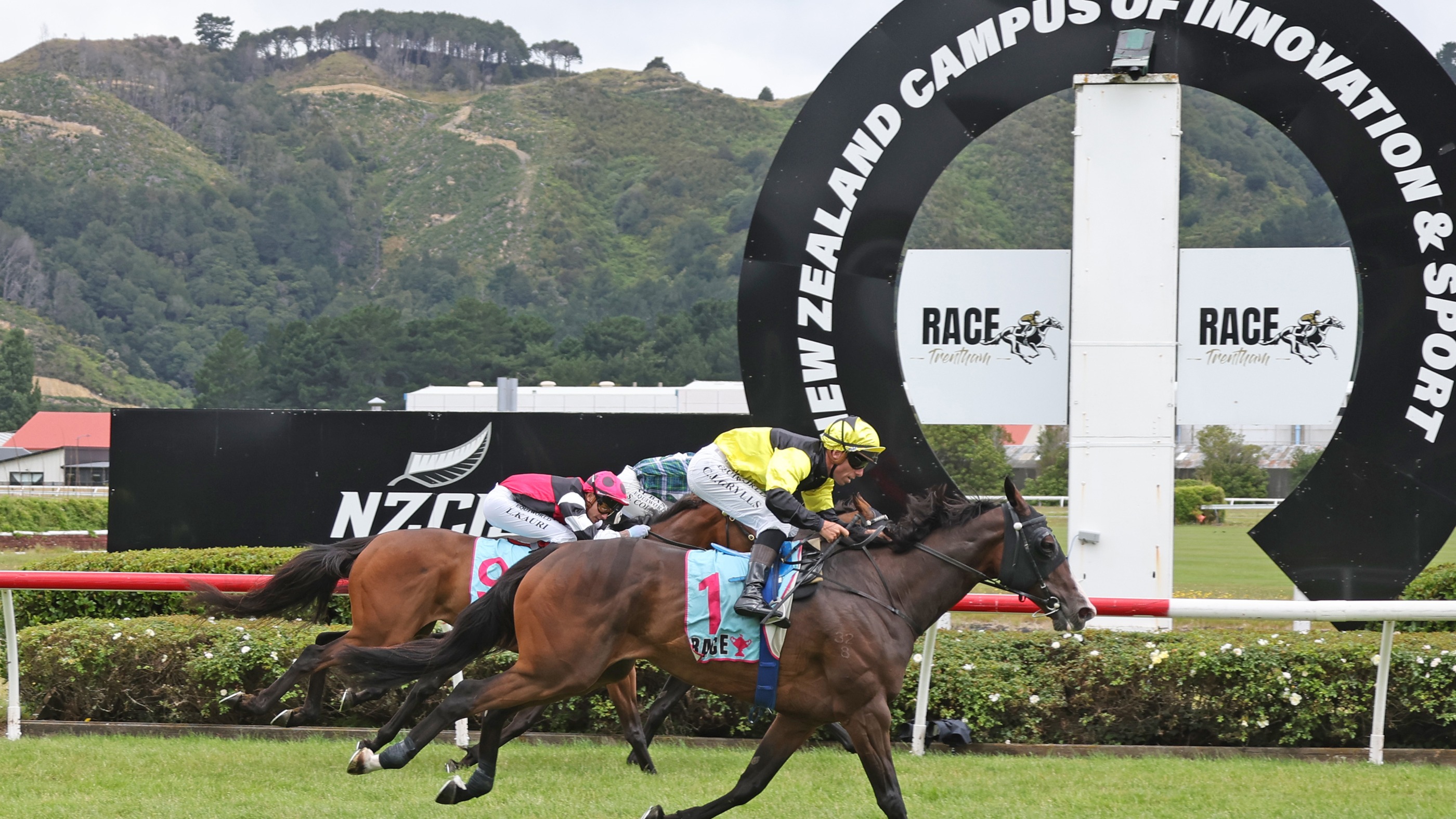 Weight and pedigree queries no bar to Wellington Cup success