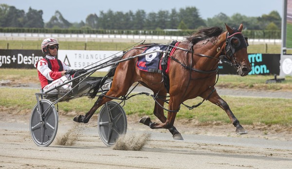 Win 25 for Santanna Mach at Ashburton