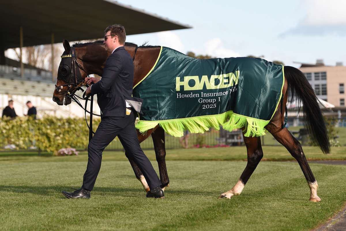 Ed Rapa RaceForm Live: Howden Insurace Mile, Hastings