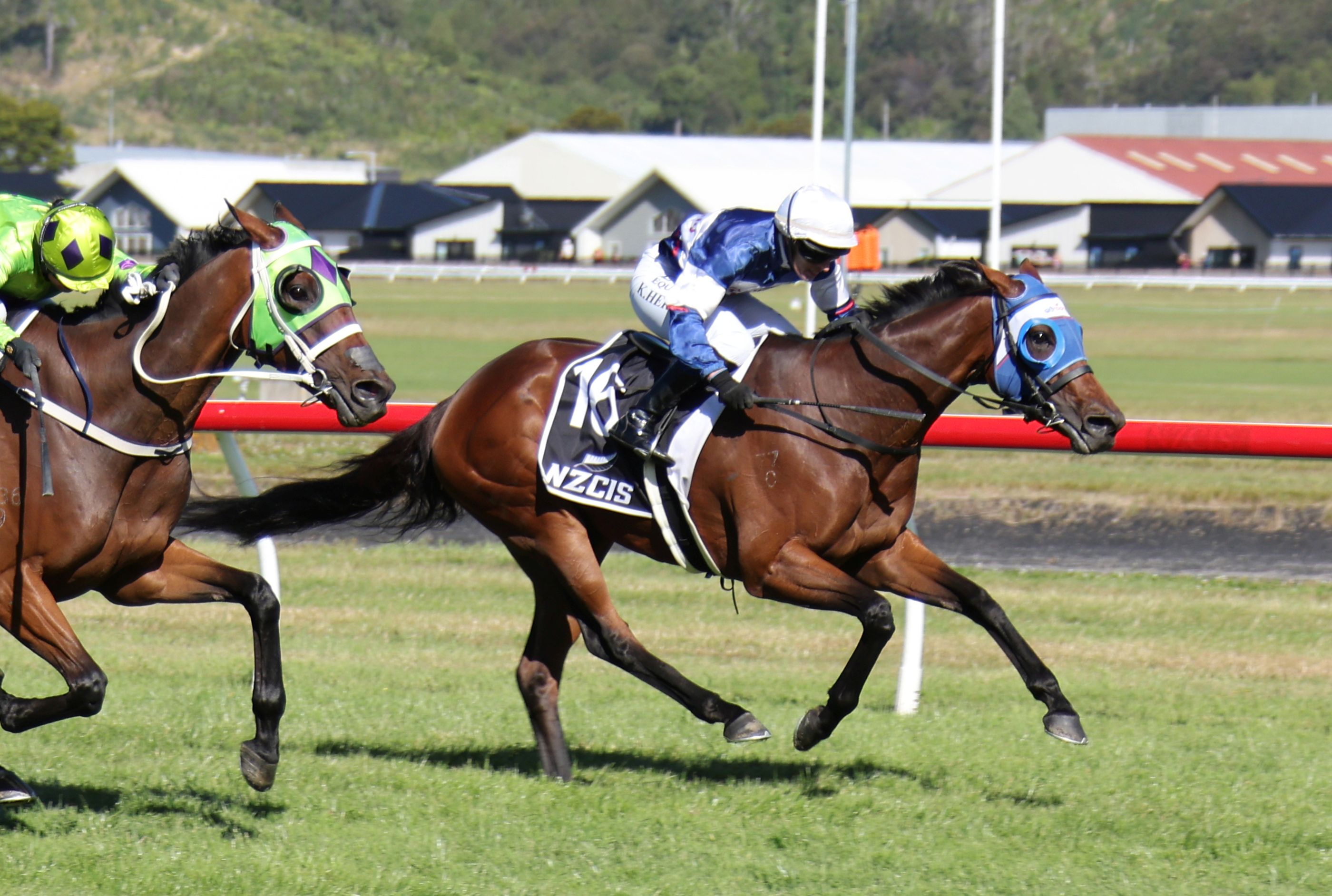 Wellington Cup Day lives up to tradition