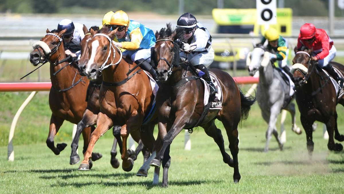 George Simon: Wood lost for words? That’s Gold must be good