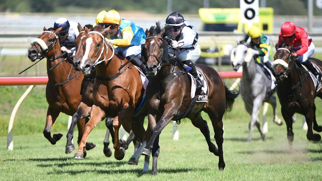 Simon Wood Racing George Simon: Wood lost for words? That’s Gold must be good