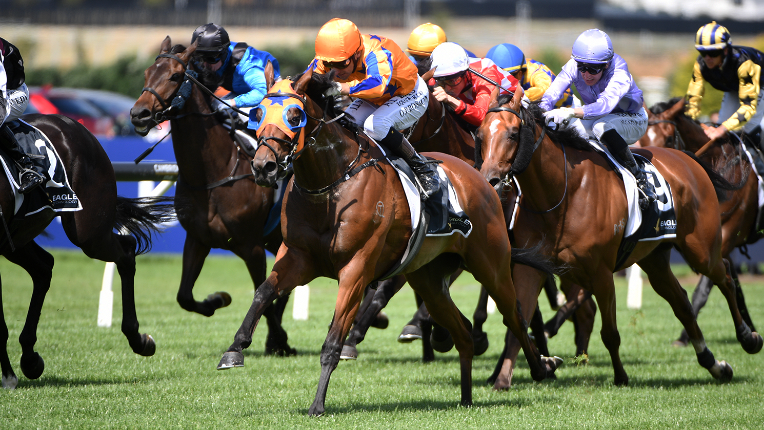 Te Akau set their sights on NZ Derby with exciting three-year-old