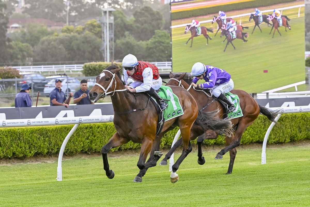 John Dory out to make a splash in Grand Prix