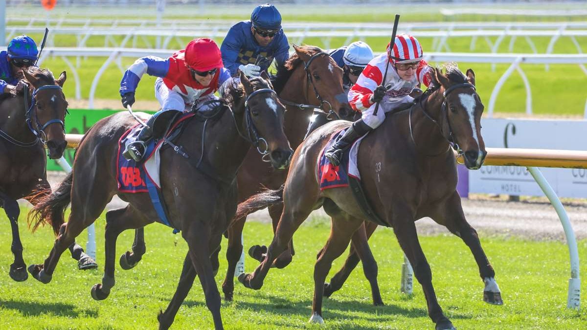 Show time for promising miler at Ashburton