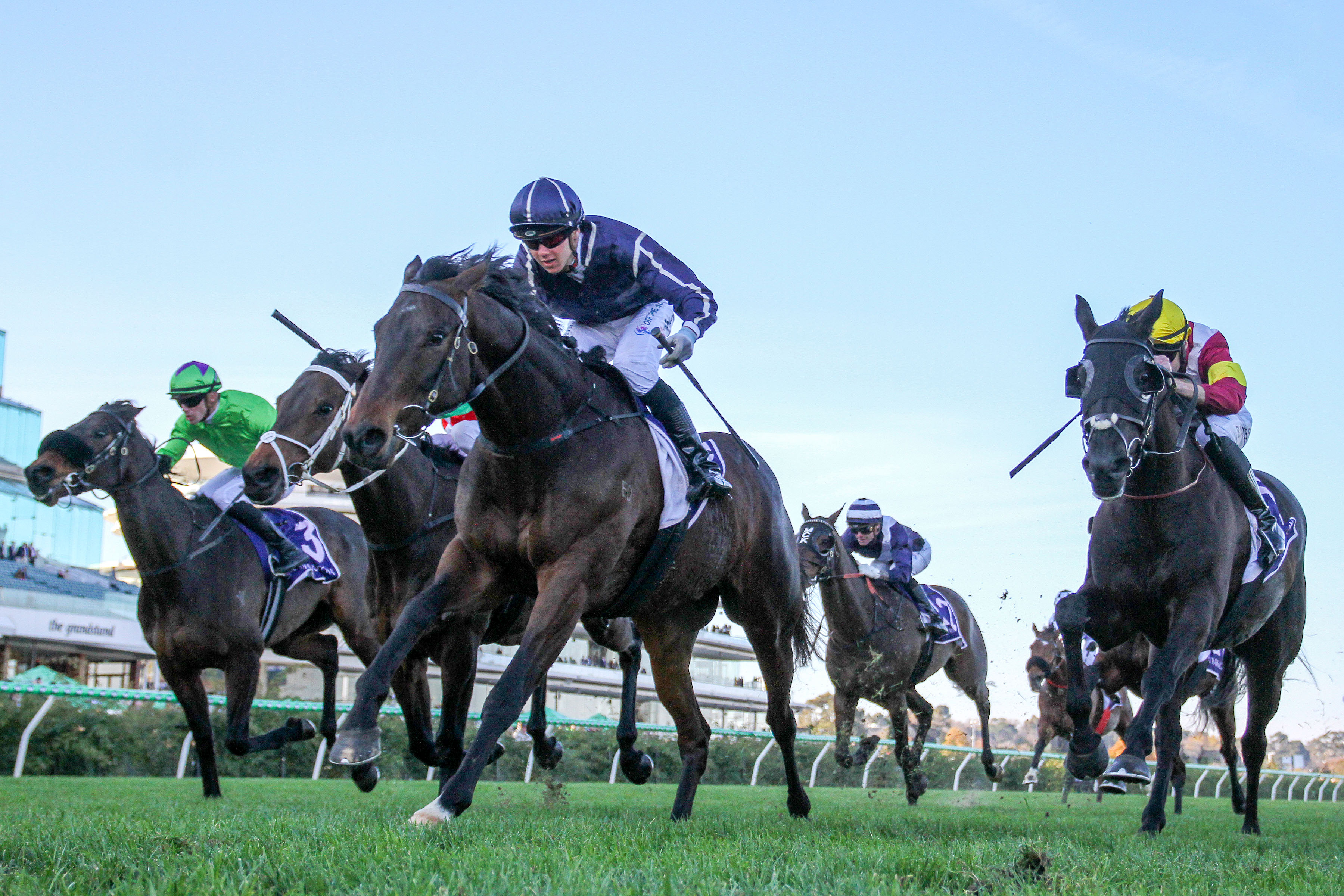 Gutsy Flemington triumph for Bold Soul 