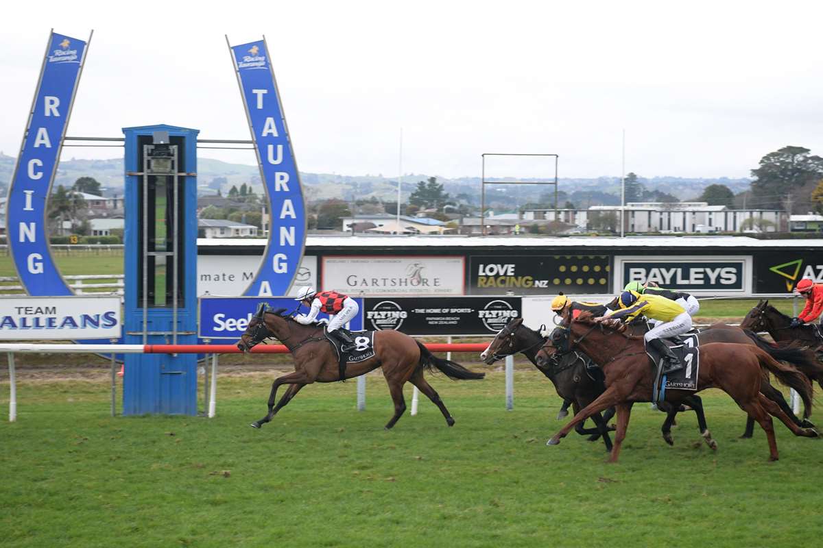 Stephen Hunt runs the numbers previewing Tauranga on June 21