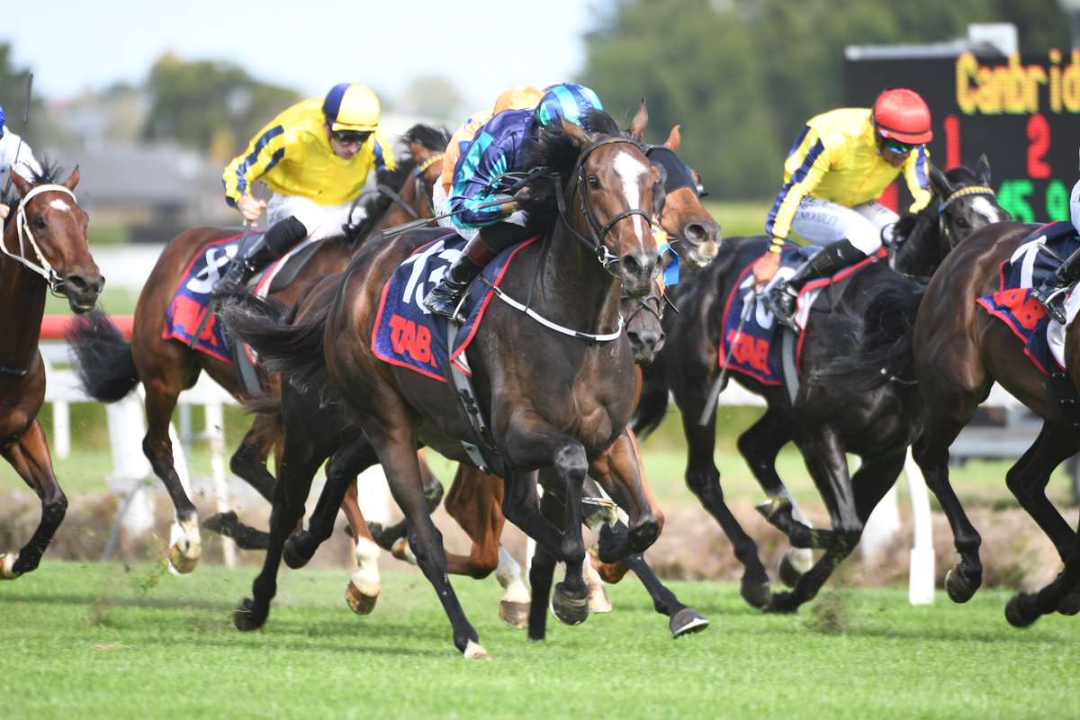 Queensland Oaks start in balance for Kiwi filly