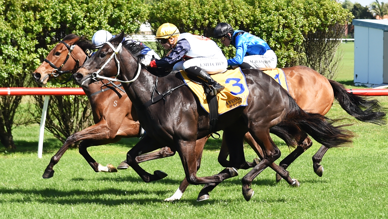 Kygo Star shines late in competitive 3YO contest