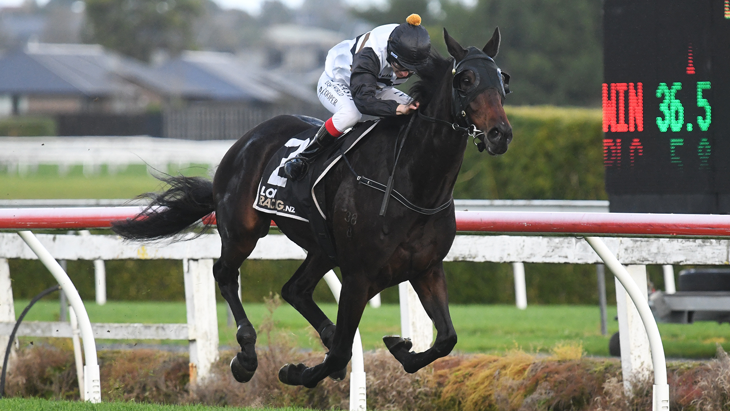 Gordon hoping for another tried horse Ace