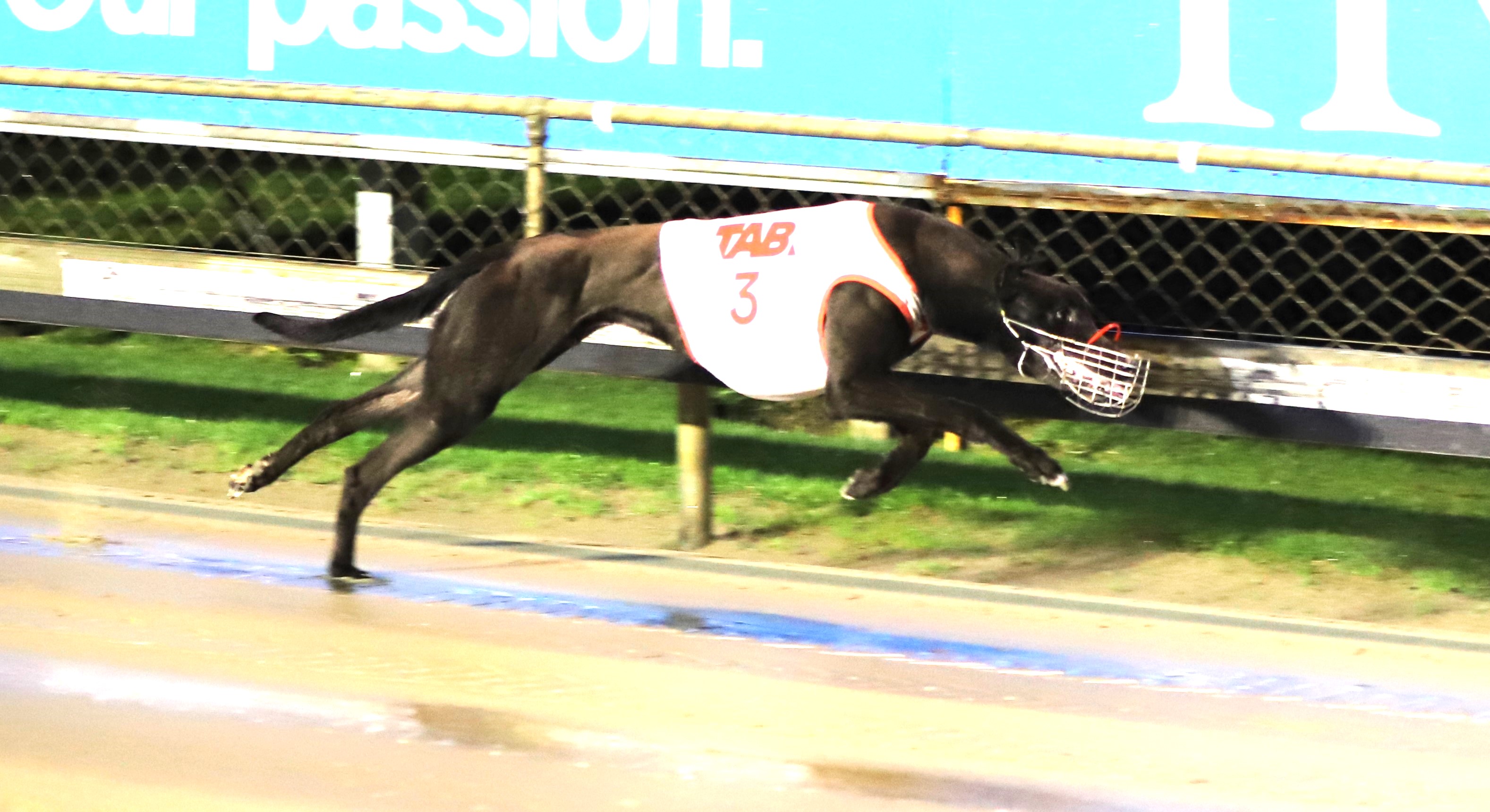 Group 2 racing features during tomorrows Ascot Park meeting