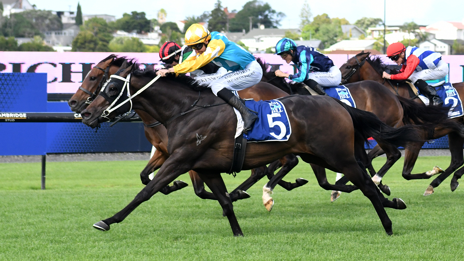 High hopes for Queen Zou on decent track