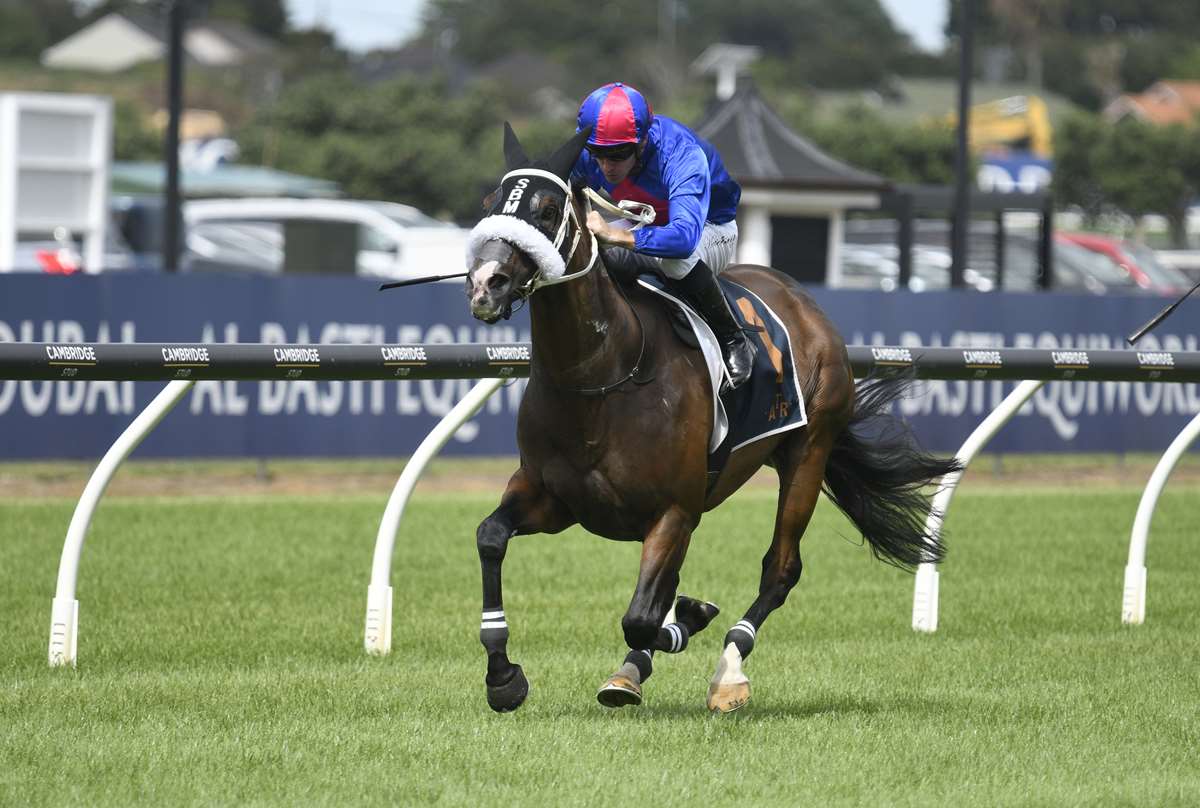Too easy for Big EV at Horse of the Year awards