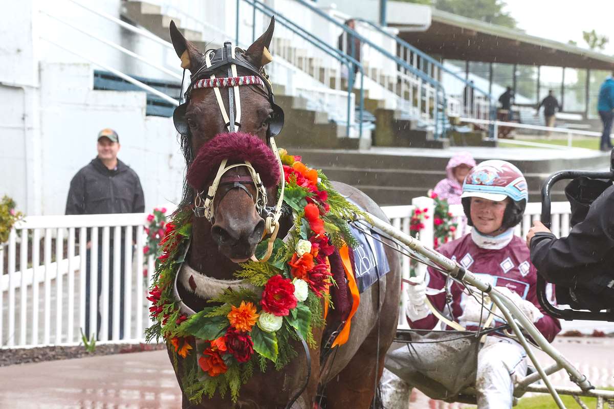 Who's hot and who's not on IRT New Zealand Trotting Cup day?