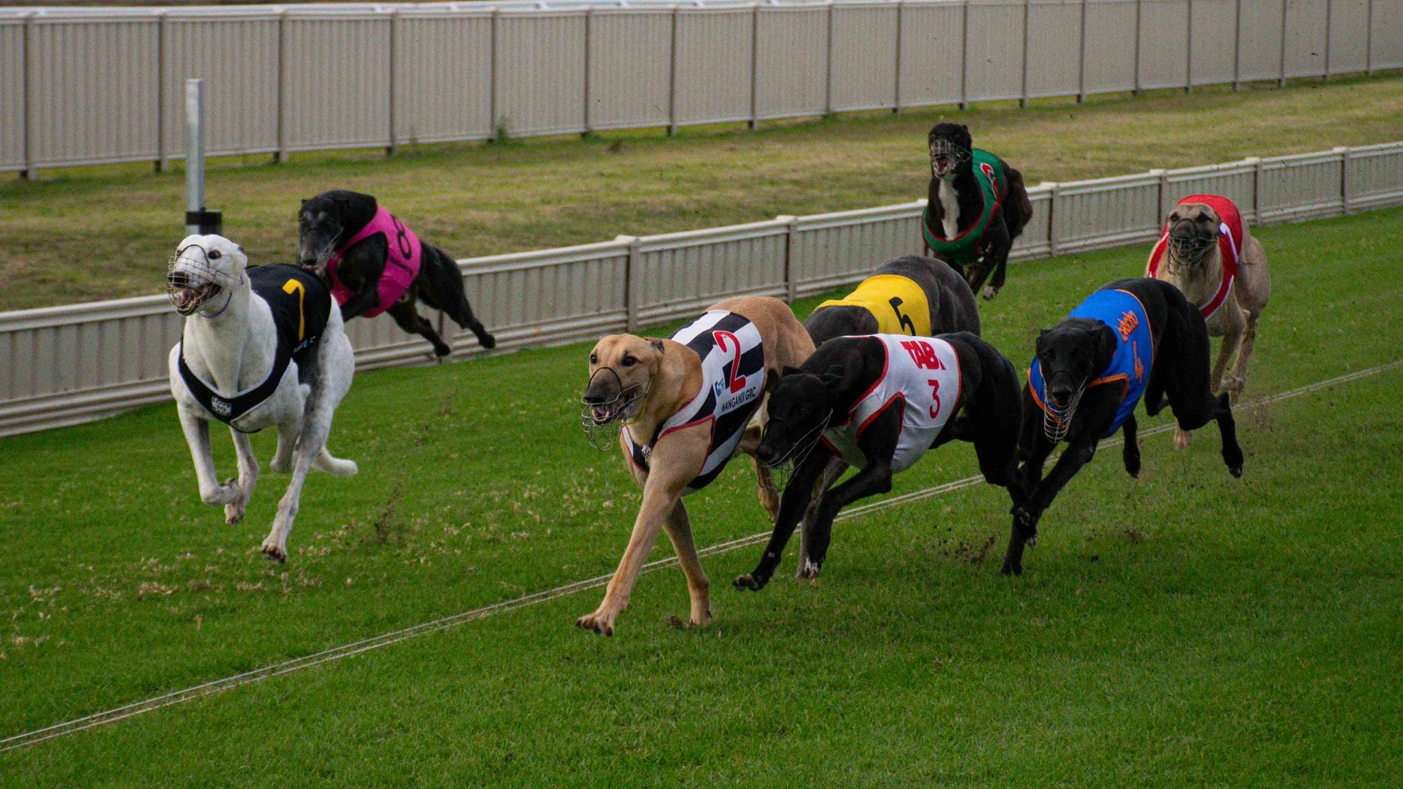 Roso unleashes his best of the day from Palmerston North