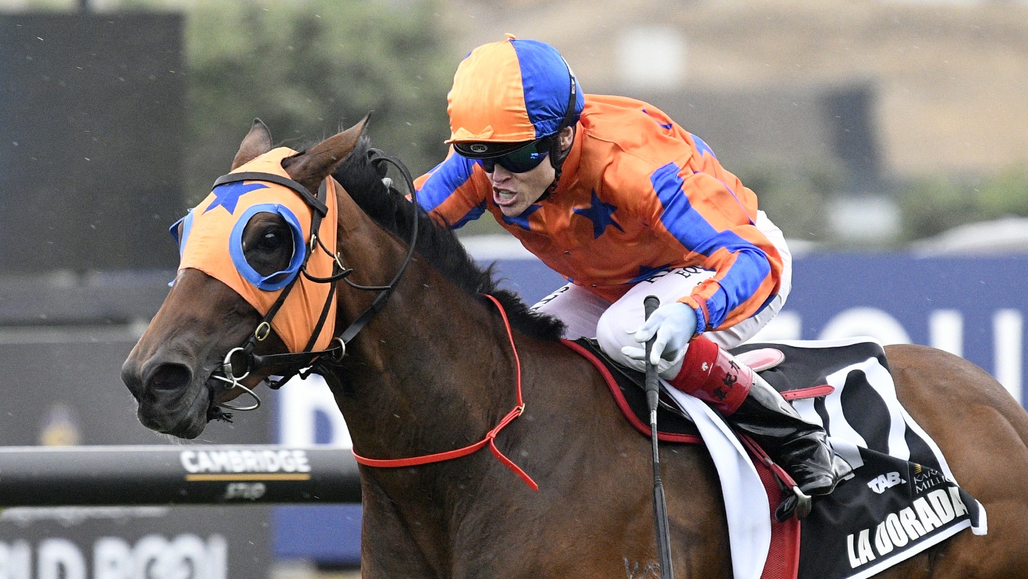 La Dorada leading Te Akau’s charge in Sires’ Produce