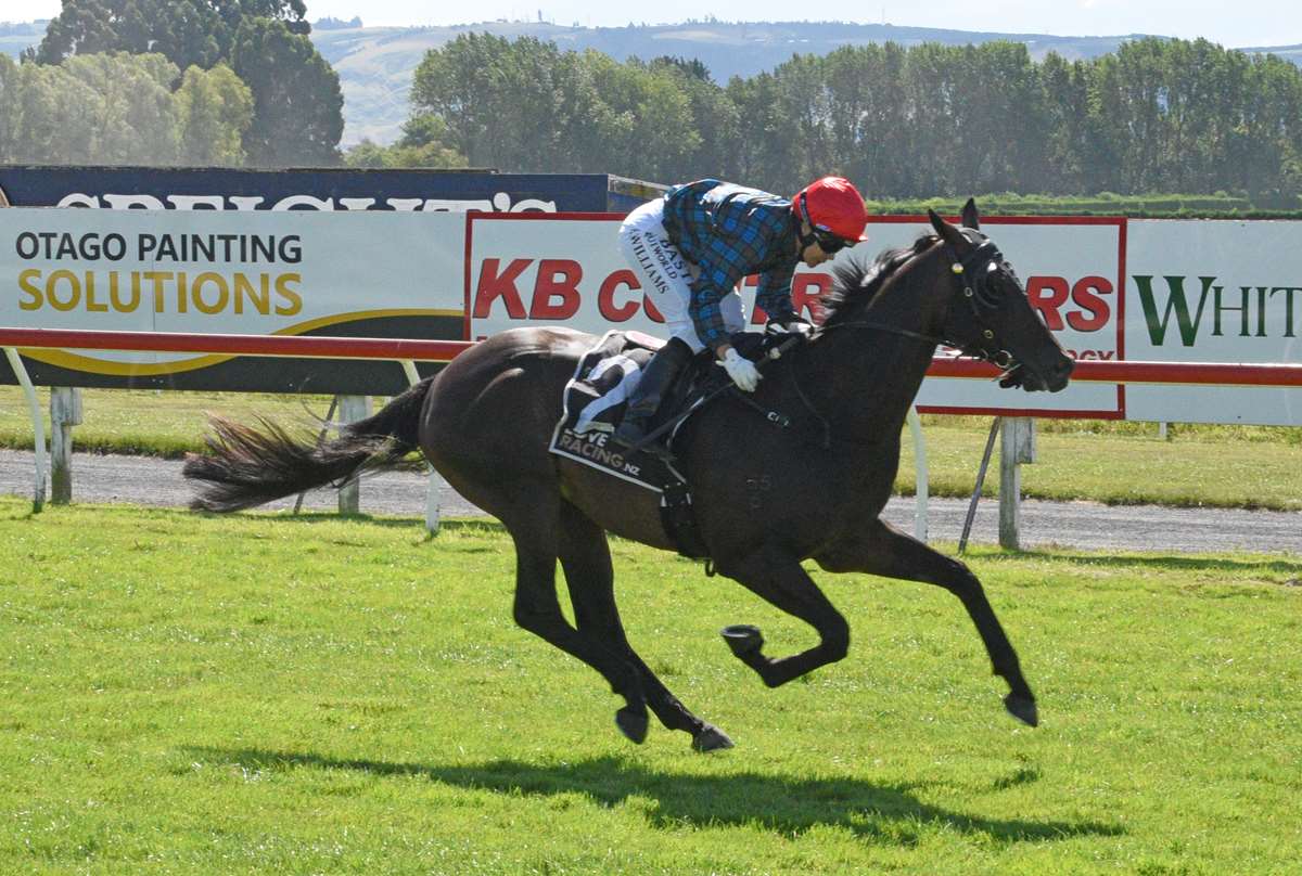Gerard seeks quickfire double for stakes-winning connections